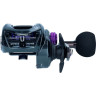 Катушка DAIWA 24 PROREX TWS 400PL-P