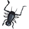 Силиконовая приманка DAIWA Kikker Kikker (3.5см) Black