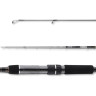 Спиннинг DAIWA Ninja NJZ702LFS-AR