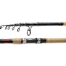 Спиннинг DAIWA NJ X tele 2.40м 10-30гр