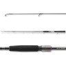Спиннинг DAIWA Prorex X DS 2,40м 5-21гр