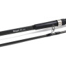 Удилище карповое DAIWA Regal - X 2300